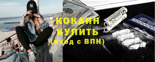твердый Дмитриев