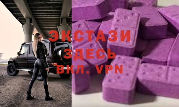 СК Алексин
