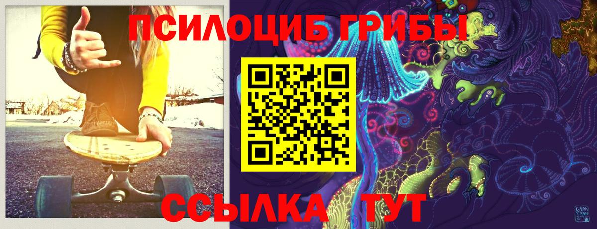 закладки  Псилоцибиновые грибы мицелий  Вход с VPN  Псилоцибиновые грибы MAGIC MUSHROOMS  Черногорск 