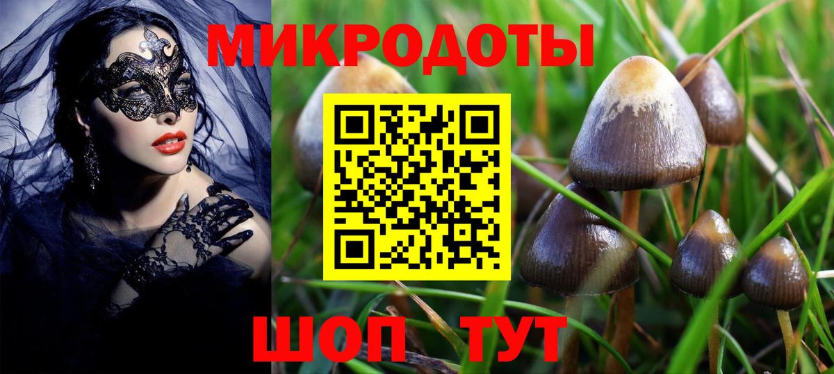 Псилоцибиновые грибы мицелий Черногорск